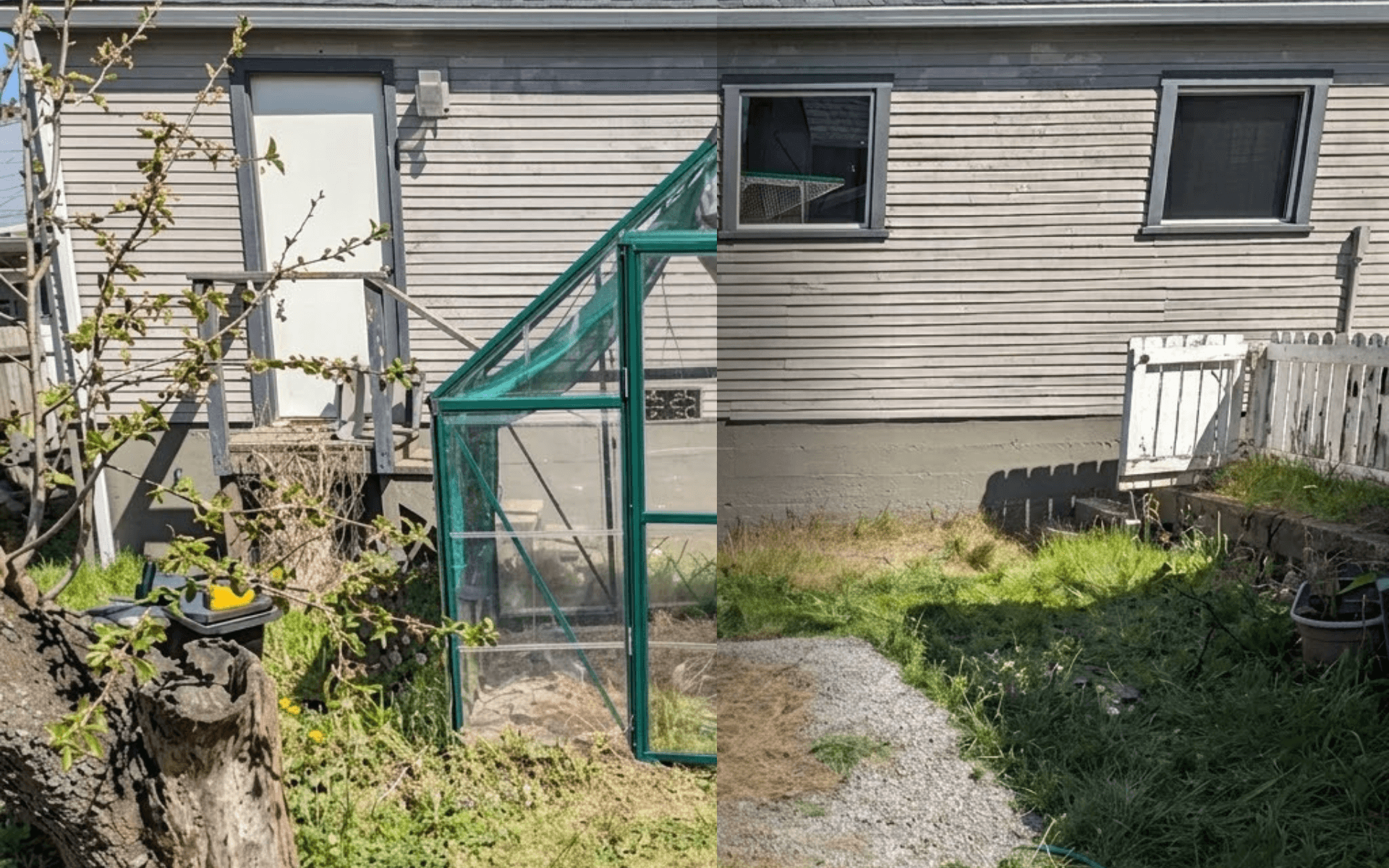 Small green greenhouse next to a grey house with horizontal siding in a grassy backyard.