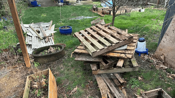 Stacked weathered wooden pallets and corrugated metal sheets in a cluttered backyard garden.